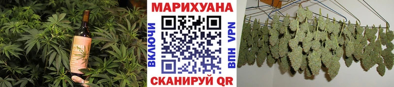 Cannafood конопля  Пушкино 