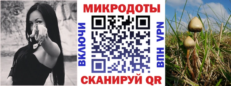 Псилоцибиновые грибы Magic Shrooms  Пушкино 